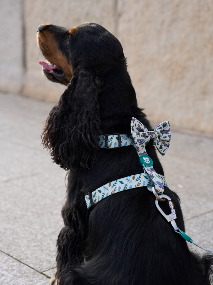 LITTLE BUGS CLASSIC DOG HARNESS