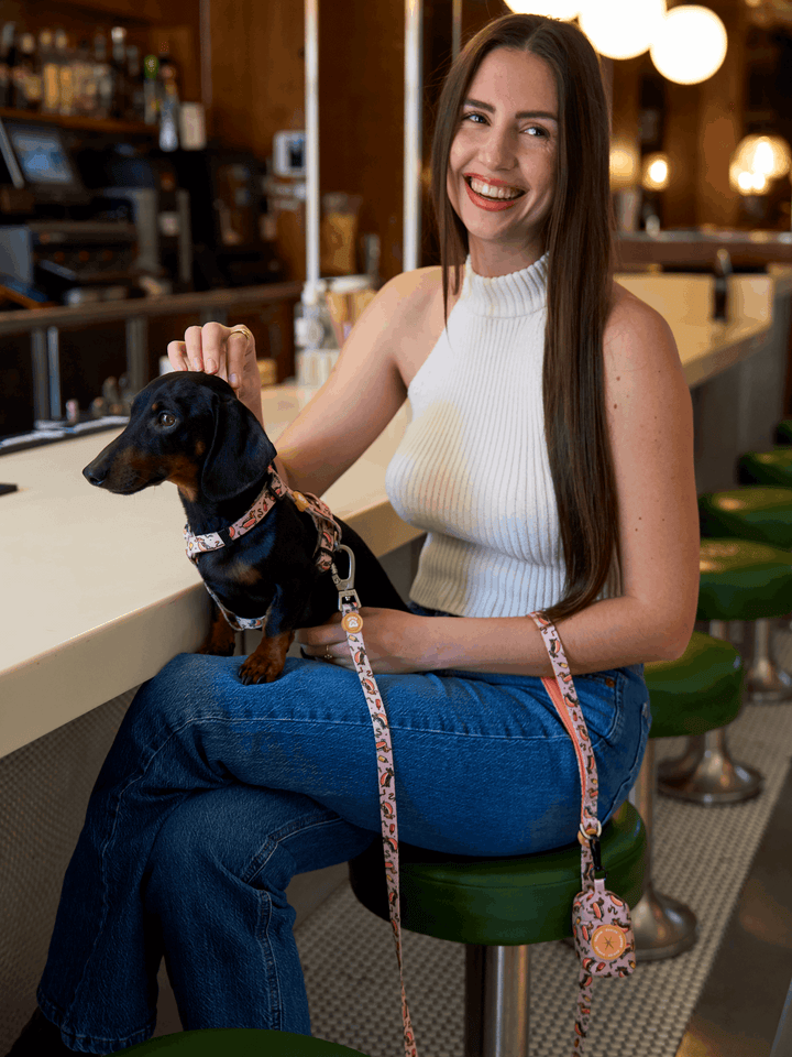 CORREA PARA PERRO HOT DOGS