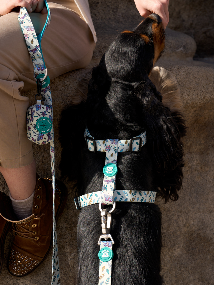 LITTLE BUGS CLASSIC DOG HARNESS