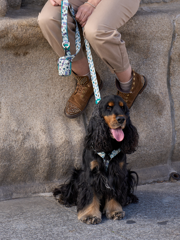 LITTLE BUGS CLASSIC DOG HARNESS