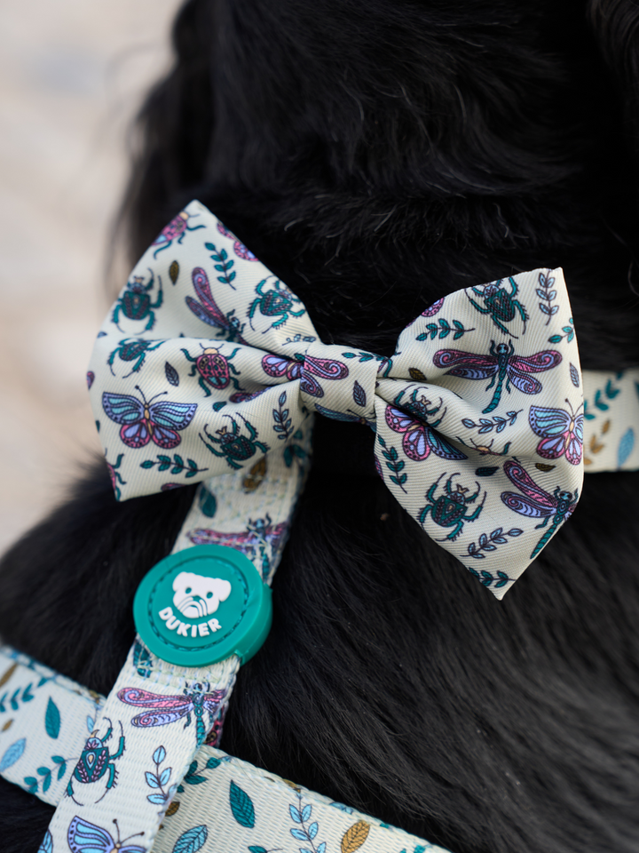 LITTLE BUGS CLASSIC DOG HARNESS
