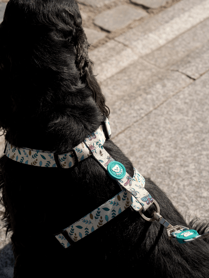 ARNÉS CLÁSICO PARA PERRO LITTLE BUGS