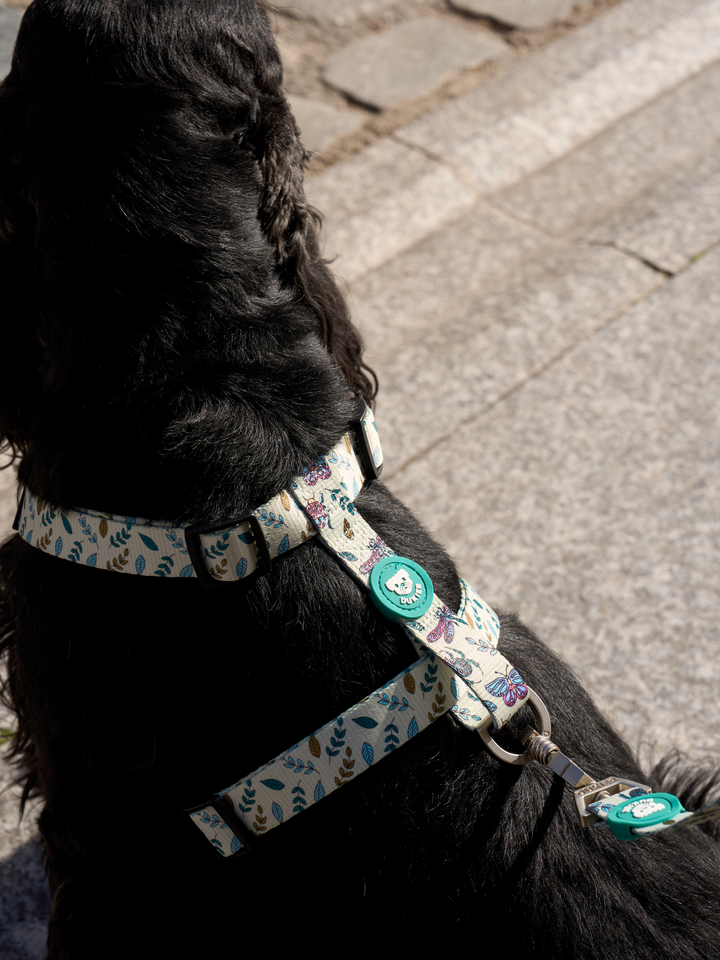 LITTLE BUGS CLASSIC DOG HARNESS