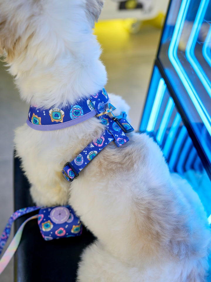 ARNÉS REVERSIBLE PARA PERRO DUKIGOTCHIS