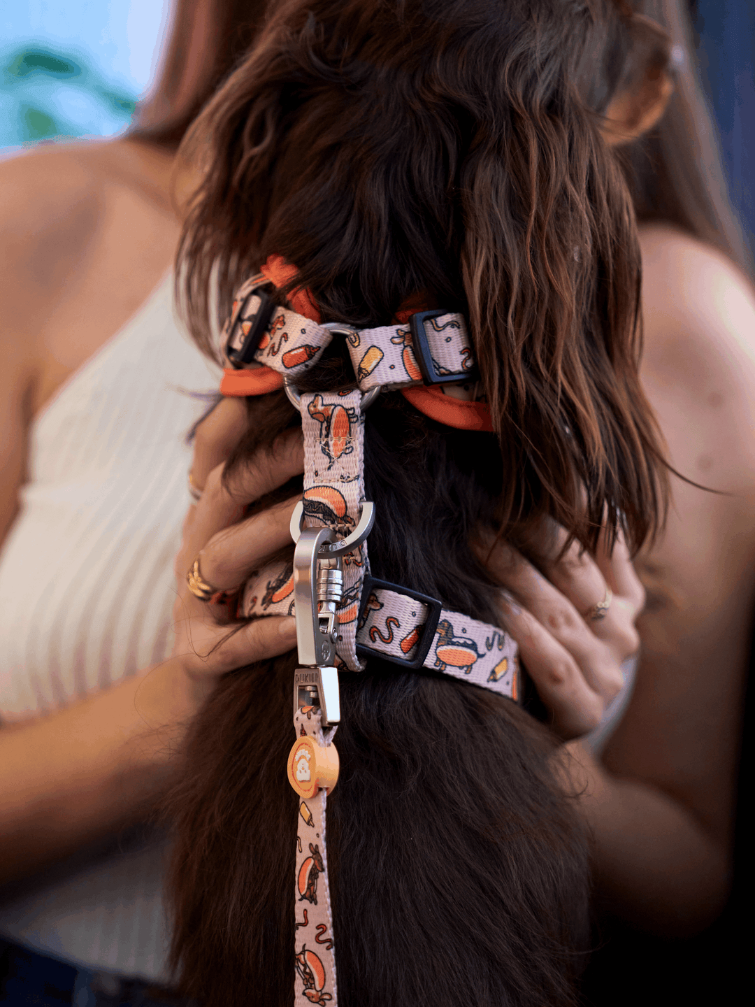 ARNES AJUSTABLE PARA PERRO HOT DOGS