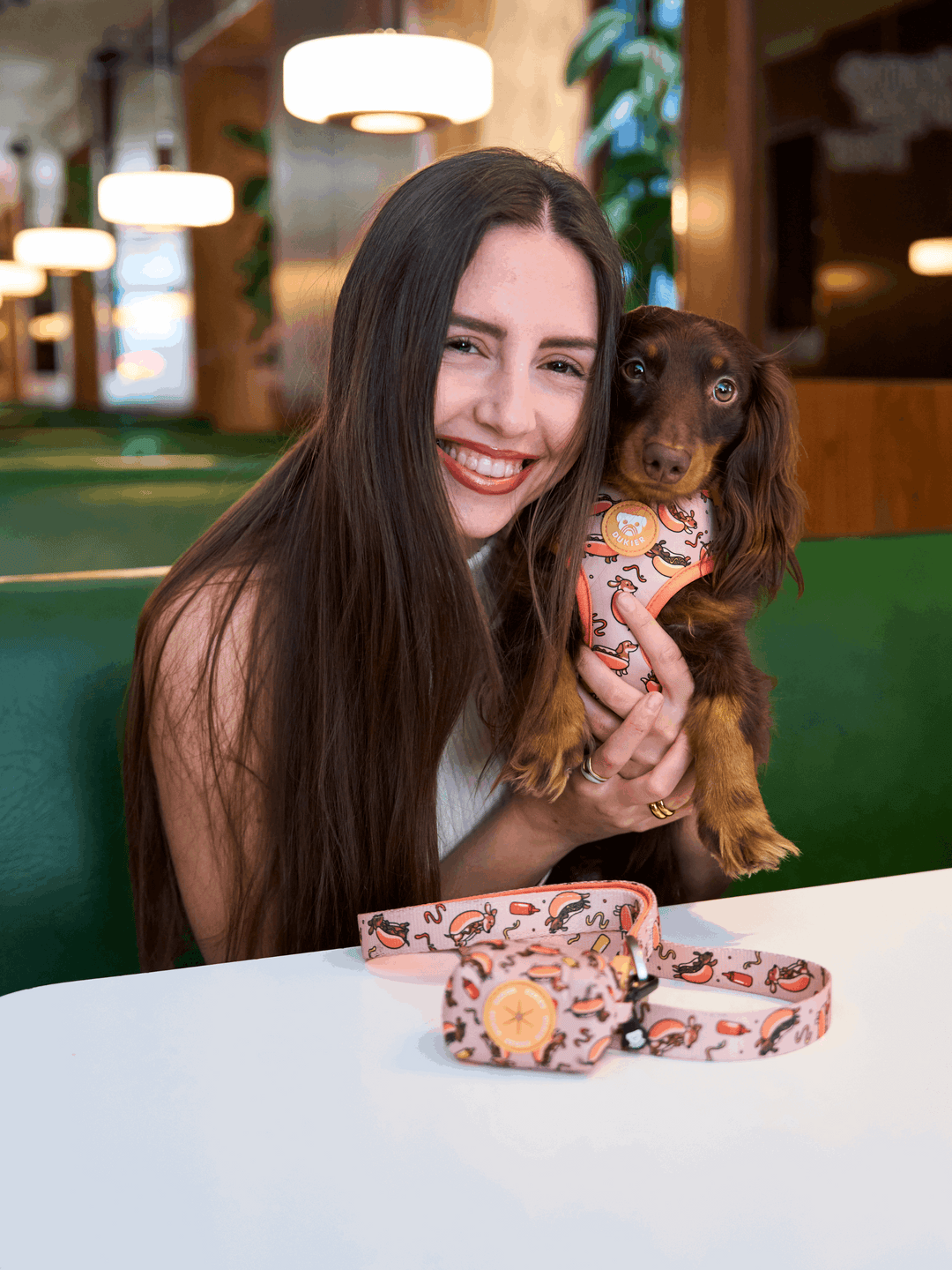 ARNES AJUSTABLE PARA PERRO HOT DOGS