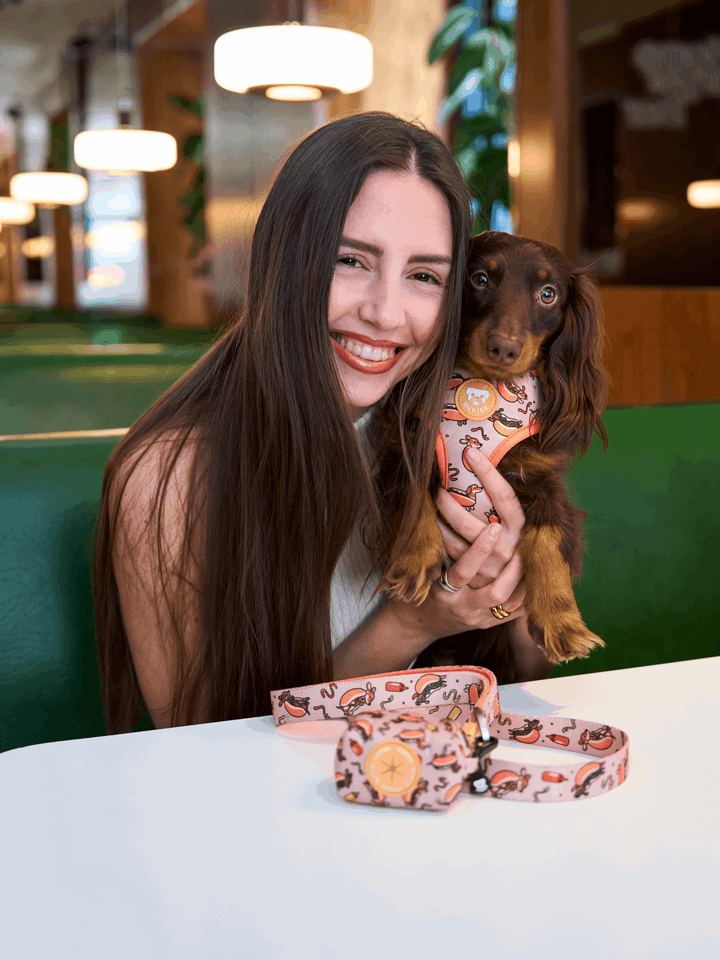 ARNES AJUSTABLE PARA PERRO HOT DOGS