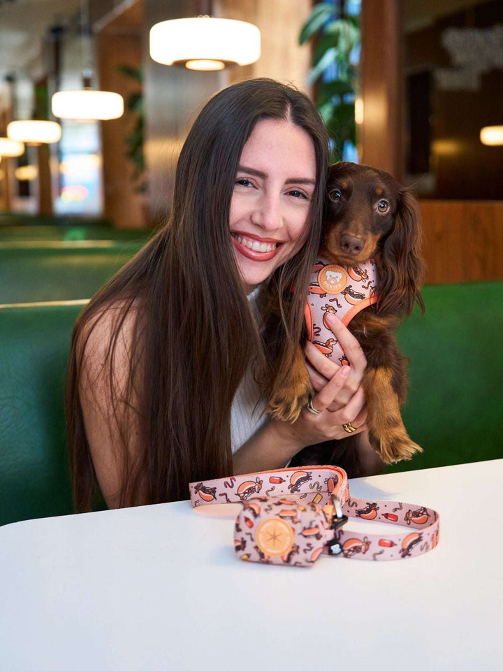 ARNES AJUSTABLE PARA PERRO HOT DOGS