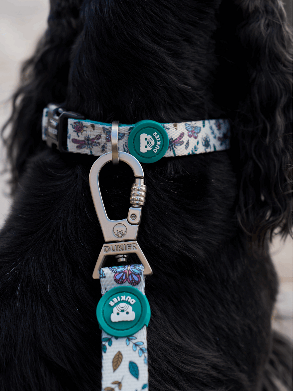 CORREA PARA PERRO LITTLE BUGS
