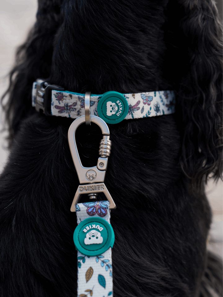 CORREA PARA PERRO LITTLE BUGS