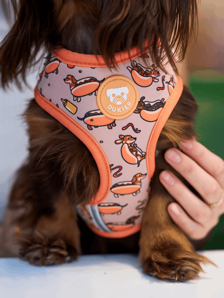 ARNES AJUSTABLE PARA PERRO HOT DOGS