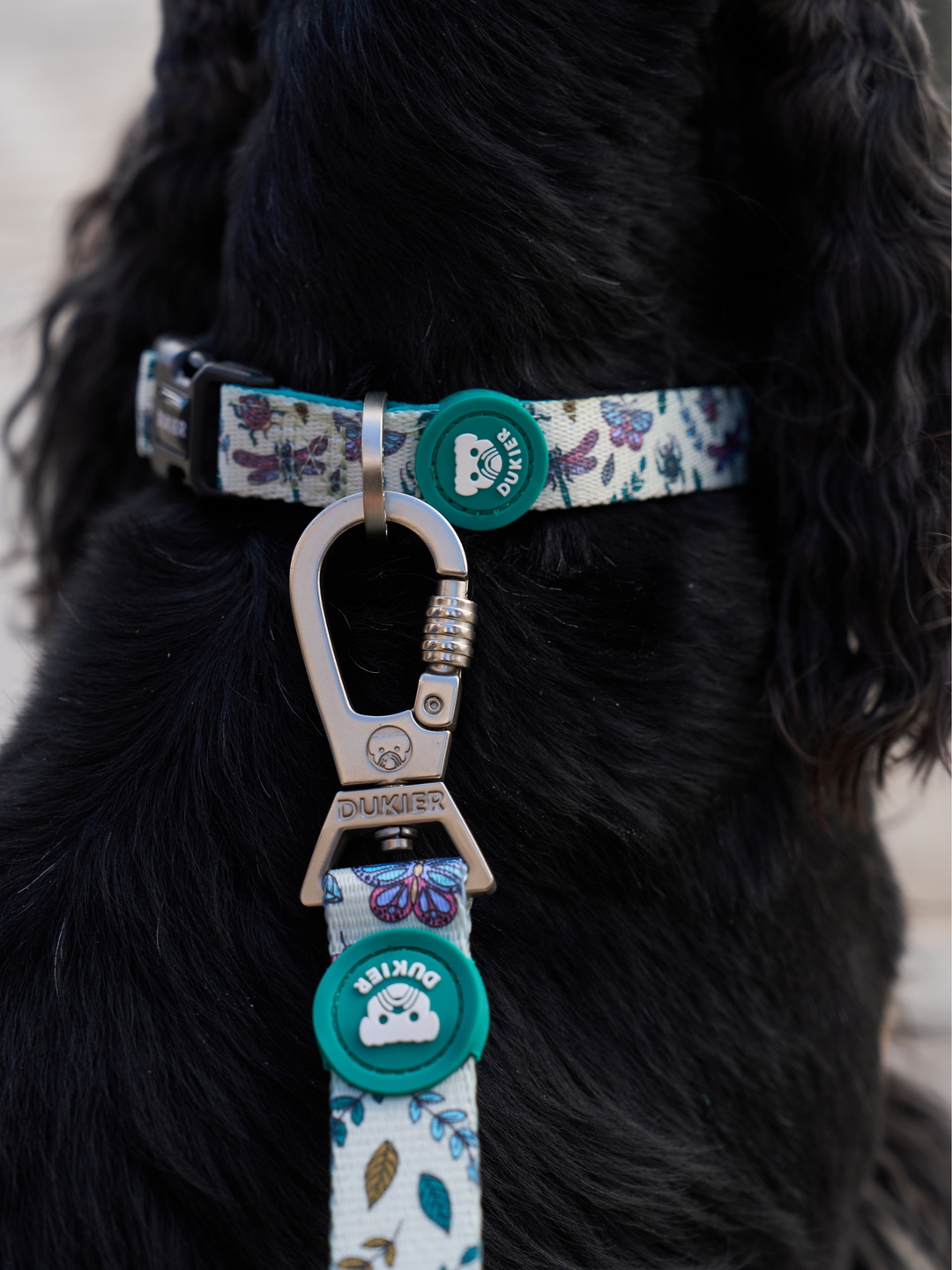 COLLAR PARA PERRO LITTLE BUGS