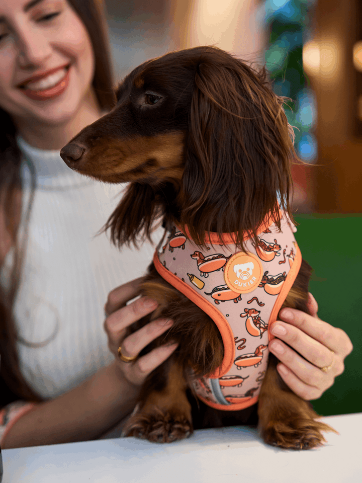 ARNES AJUSTABLE PARA PERRO HOT DOGS