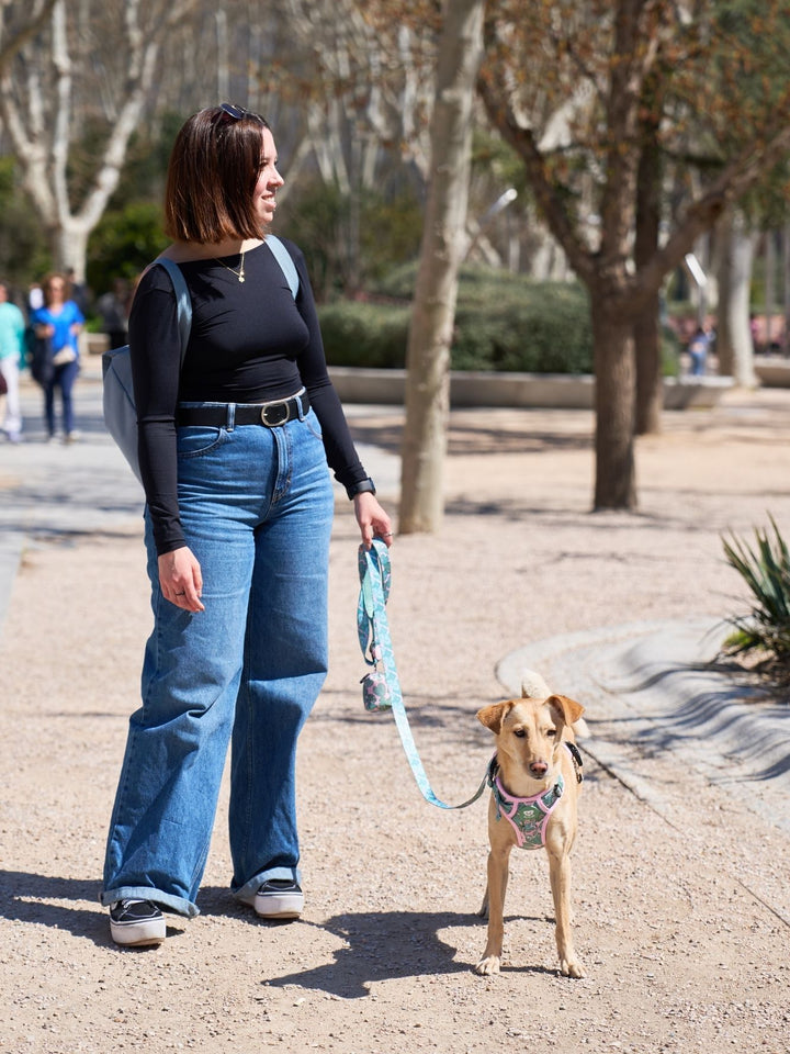 TRAIL DOG HARNESS MONSTERA