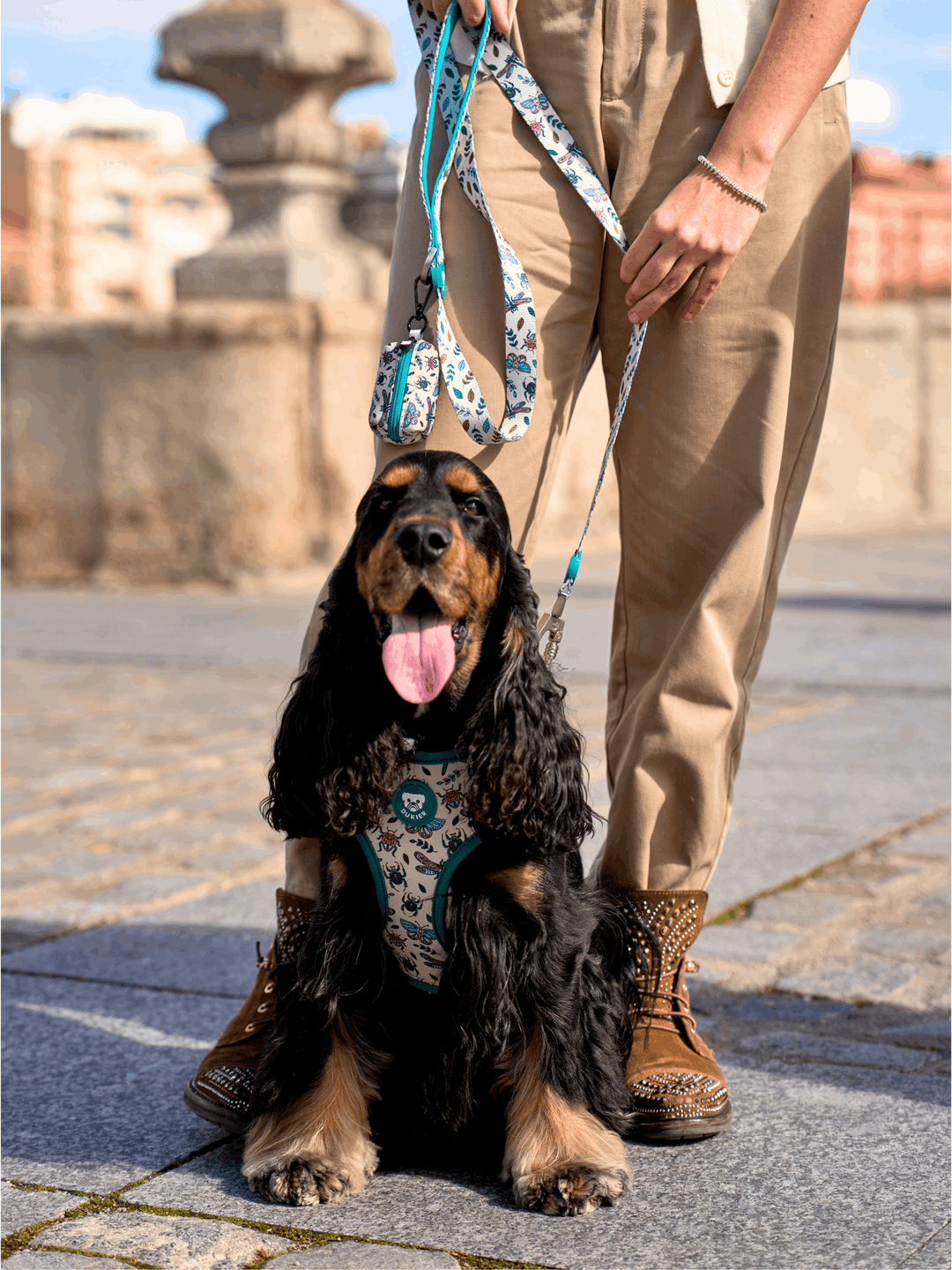 CORREA PARA PERRO LITTLE BUGS