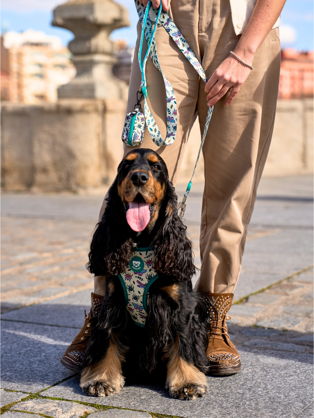 PETTORINA REGOLABILE PER CANE LITTLE BUGS