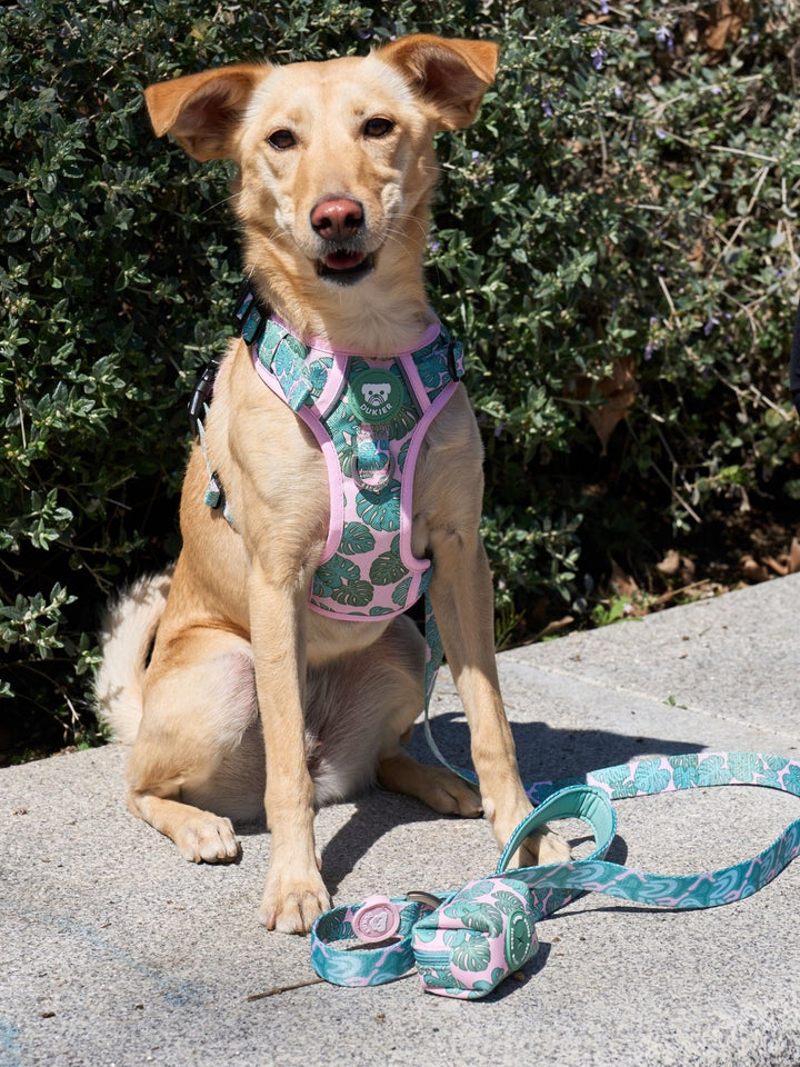 TRAIL DOG HARNESS MONSTERA