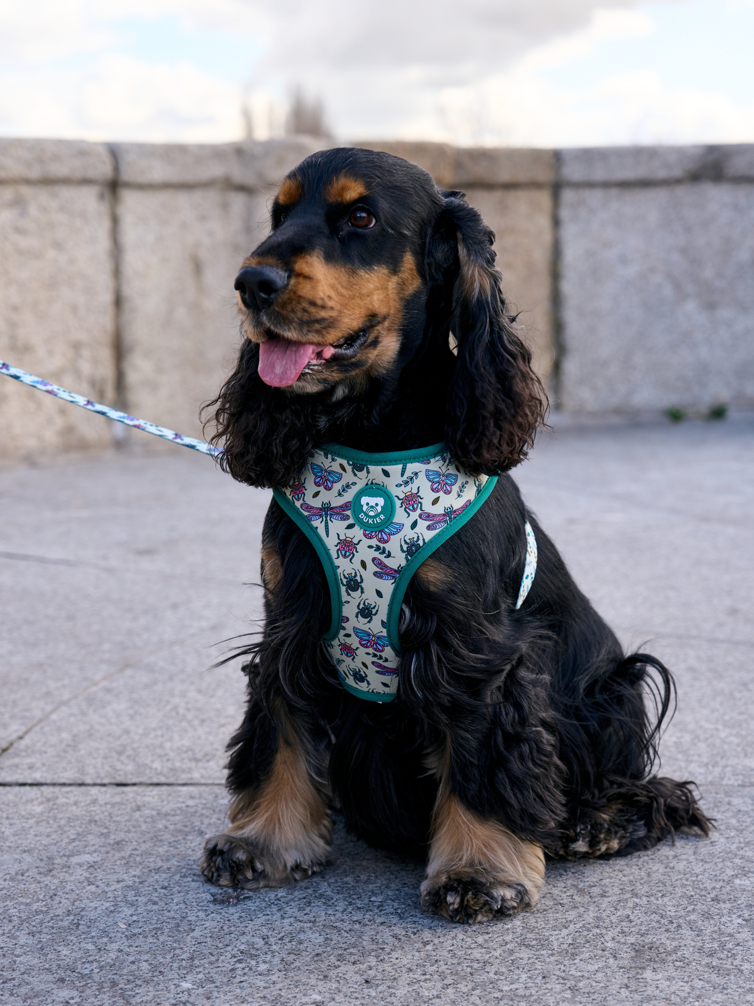PETTORINA REGOLABILE PER CANE LITTLE BUGS