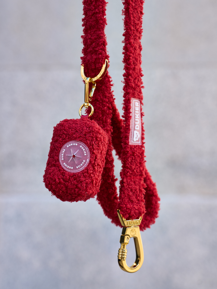 TEDDY RED DOG LEASH