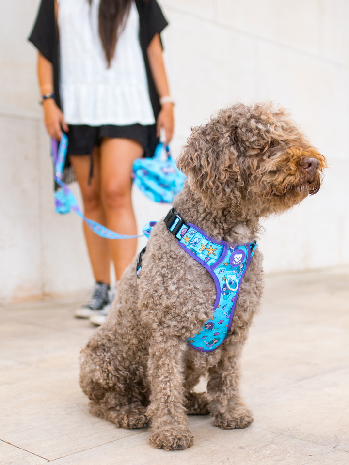 ARNES TRAIL PARA PERRO MERMAID
