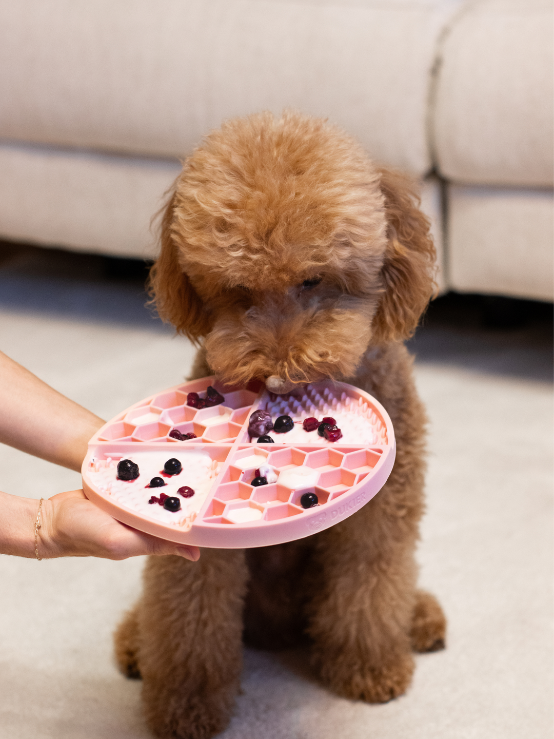 LICK MAT PARA PERRO PINK
