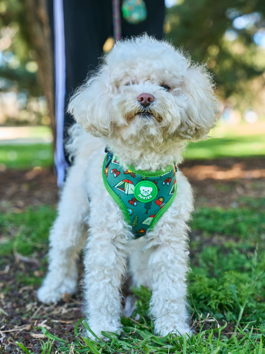 SCOUTS ADJUSTABLE DOG HARNESS