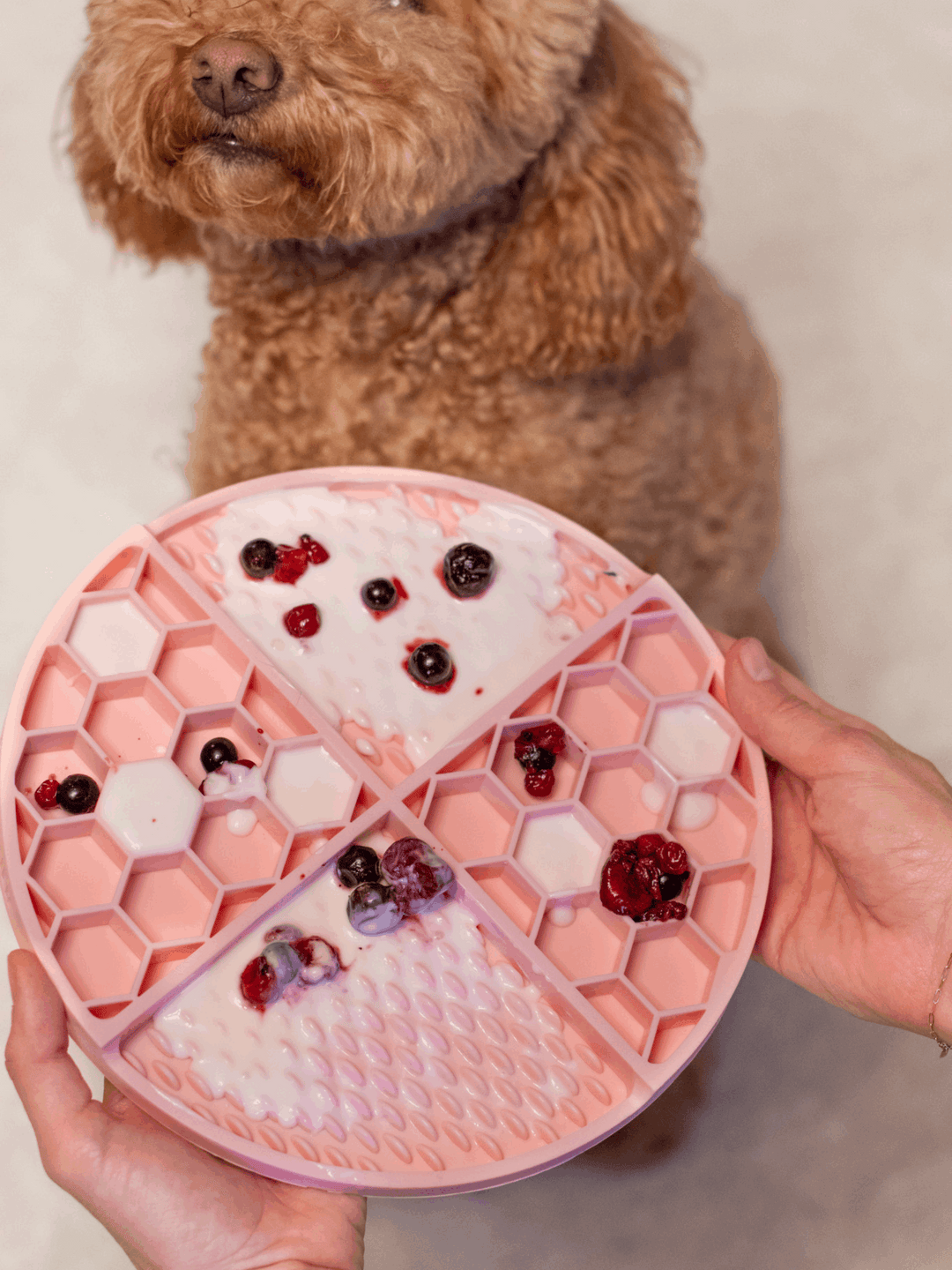 LICK MAT PARA PERRO PINK