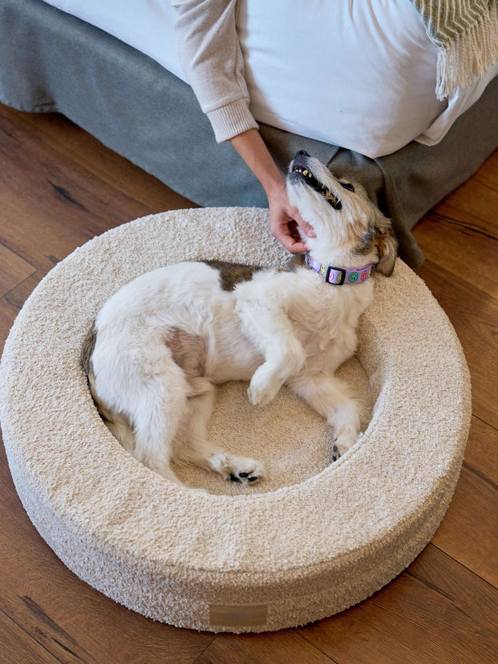 CAMA PARA PERRO DUKIER