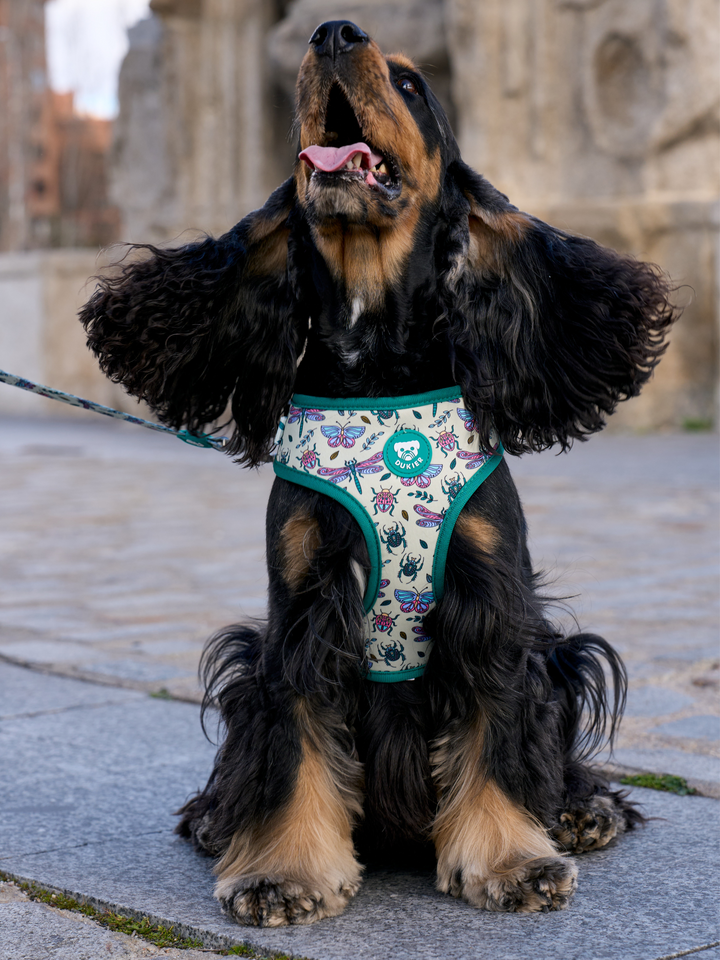 PETTORINA REGOLABILE PER CANE LITTLE BUGS