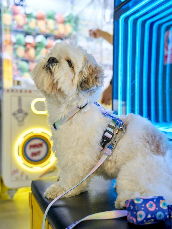 ARNÉS CLÁSICO PARA PERRO DUKIGOTCHIS