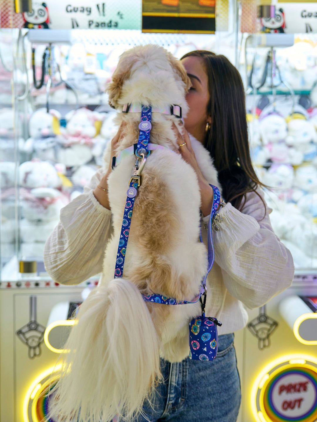 ARNÉS CLÁSICO PARA PERRO DUKIGOTCHIS