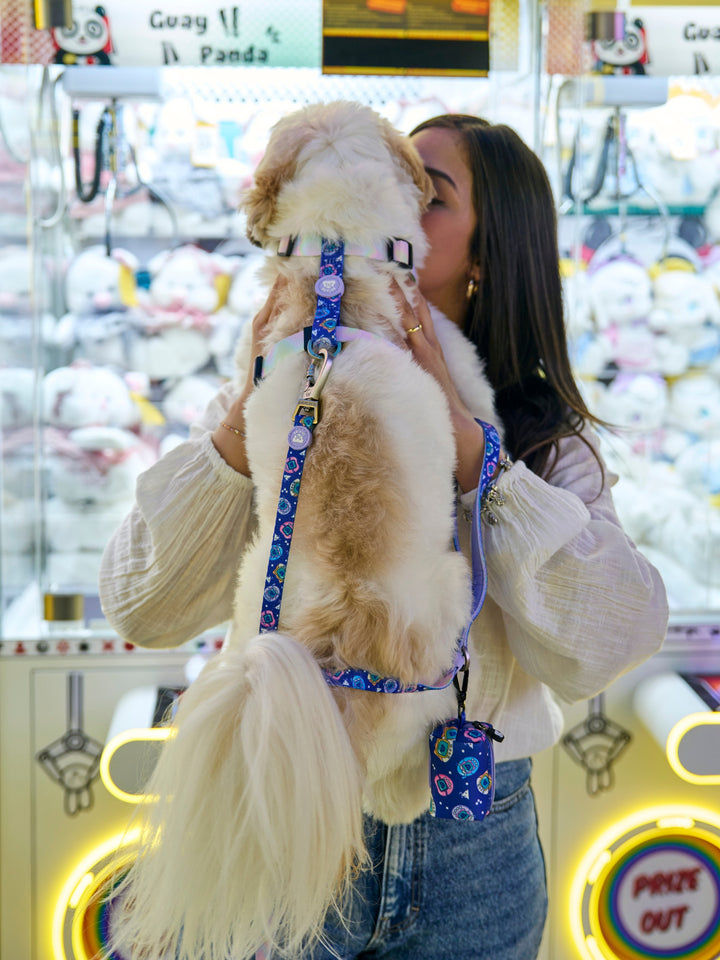 ARNÉS CLÁSICO PARA PERRO DUKIGOTCHIS