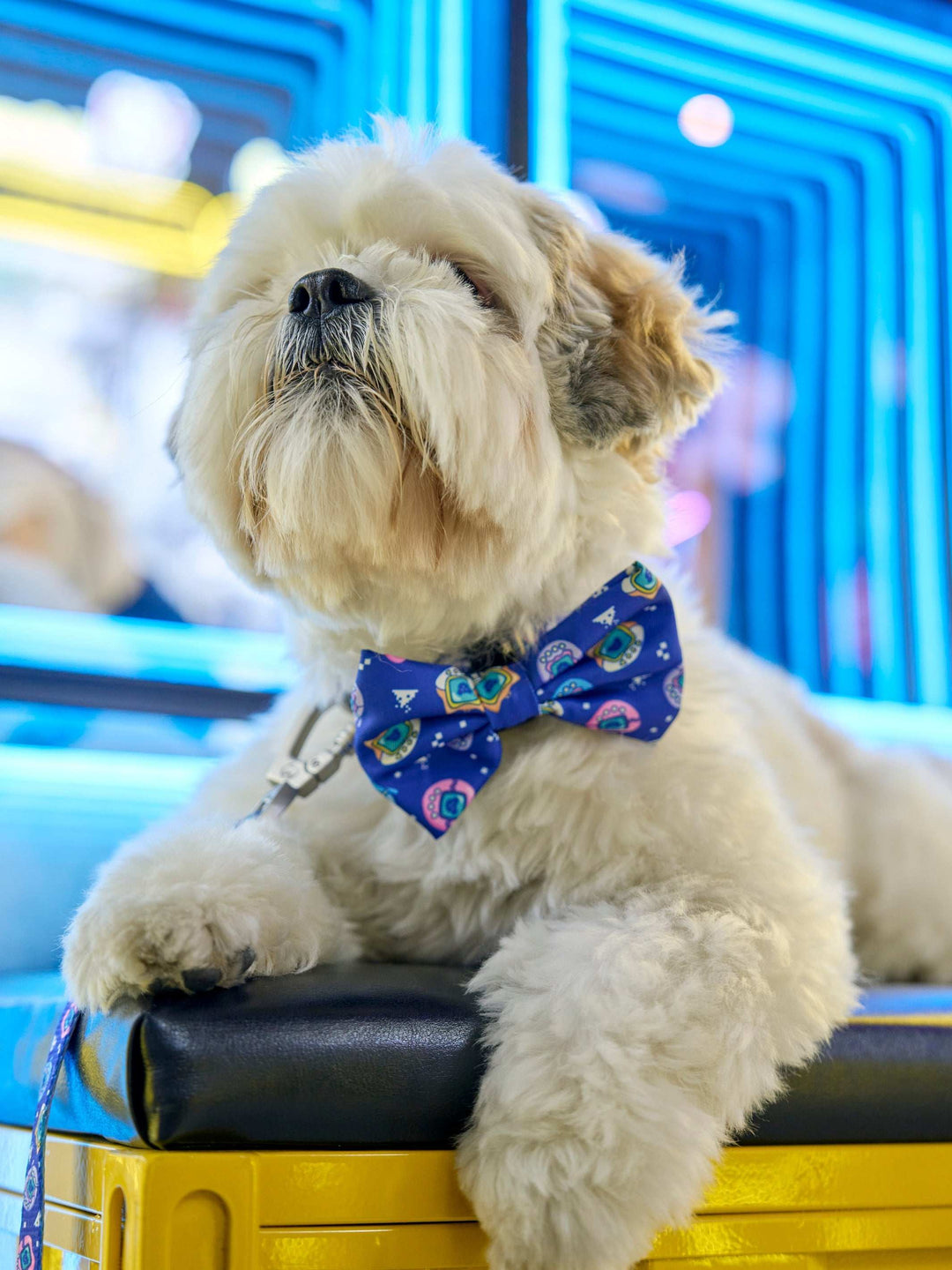 PAJARITA PARA PERRO DUKIGOTCHIS