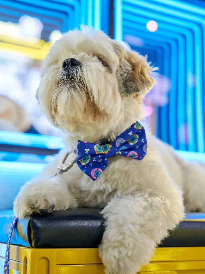 PAJARITA PARA PERRO DUKIGOTCHIS