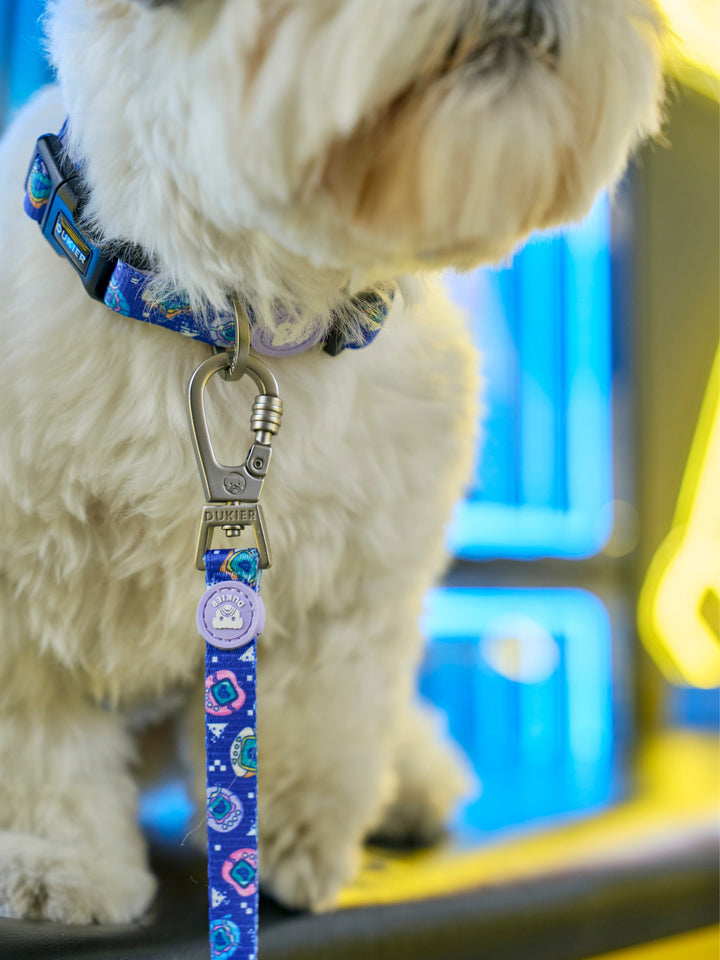 COLLAR PARA PERRO DUKIGOTCHIS