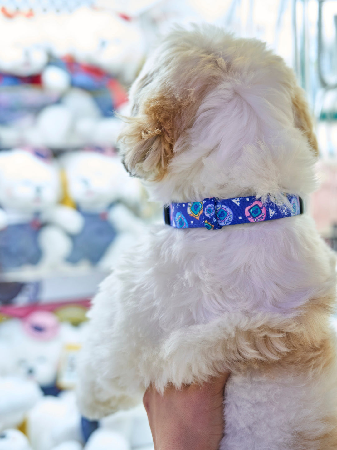 COLLAR PARA PERRO DUKIGOTCHIS
