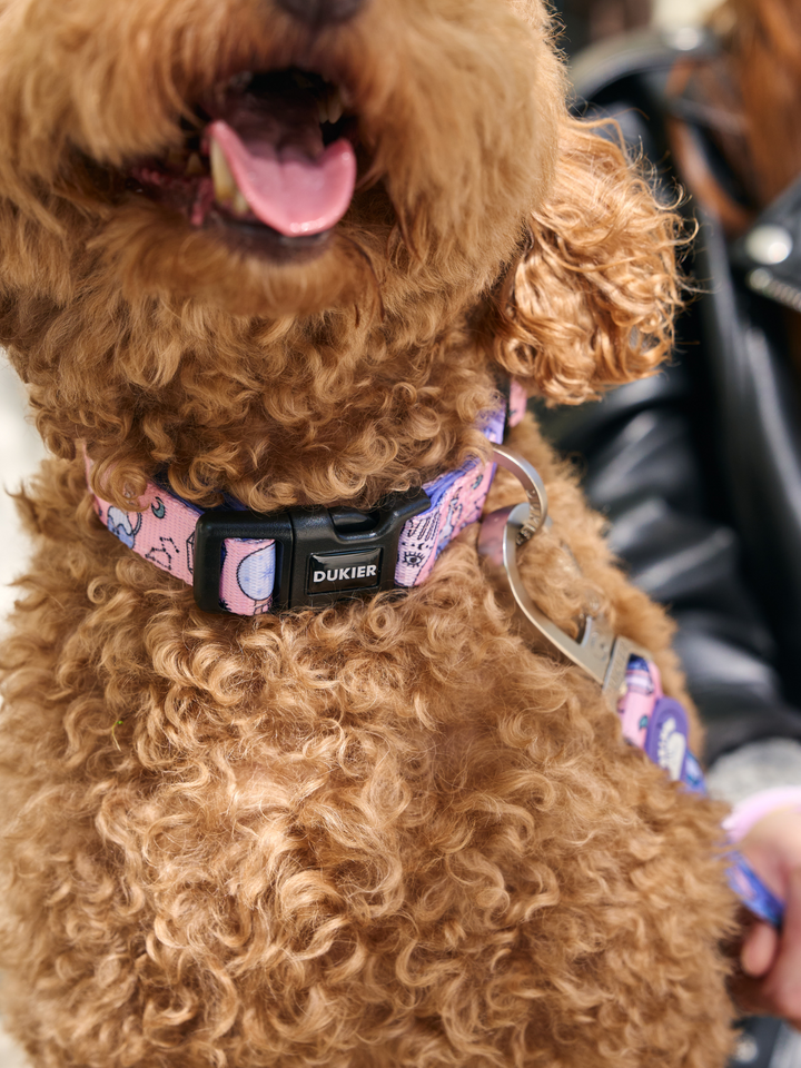 MYSTIC DOG COLLAR