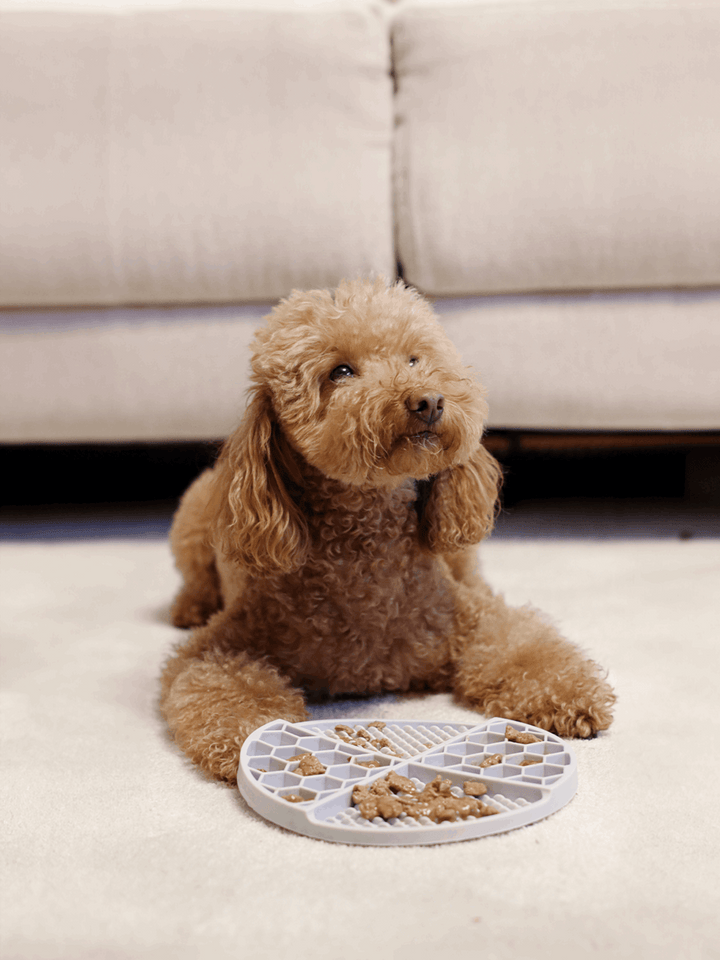 LICK MAT PARA PERRO BLUE