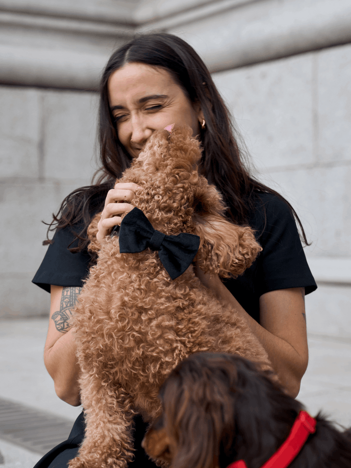 PAJARITA PARA PERRO VELVET BLACK