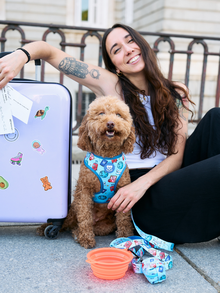 PETTORINA REGOLABILE PER CANE DUKITRIP