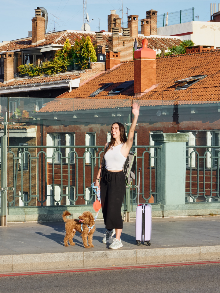ARNÊS CLÁSSICO PARA CÃES DUKITRIP
