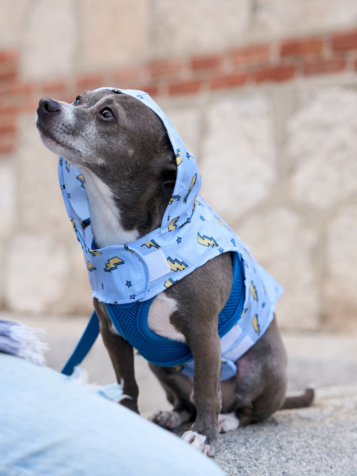 CHUBASQUERO PARA PERRO STORM