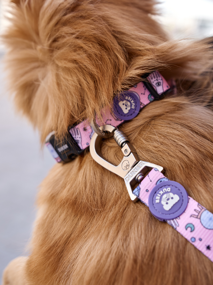 MYSTIC DOG COLLAR