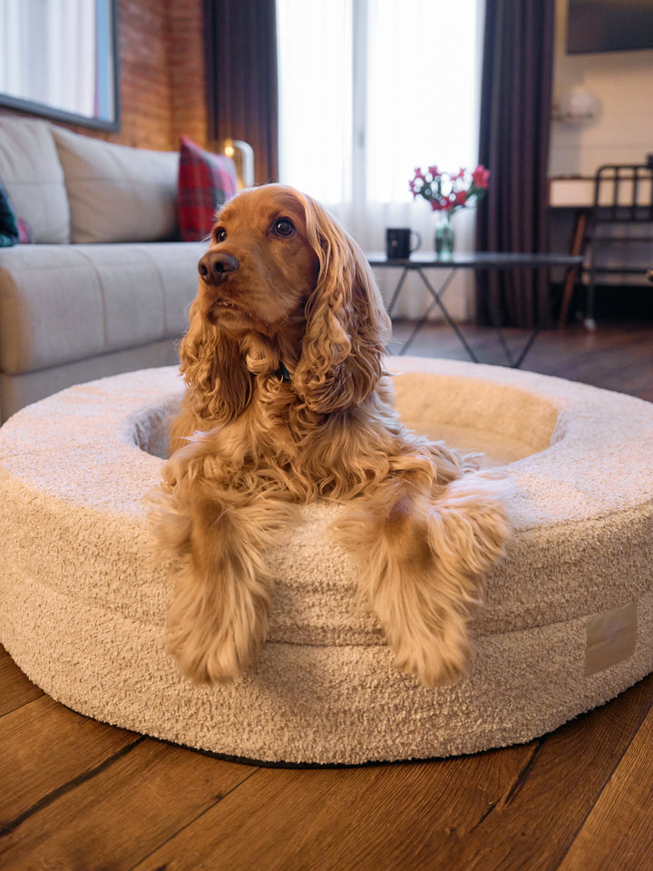 DUKIER-HUNDEBETT