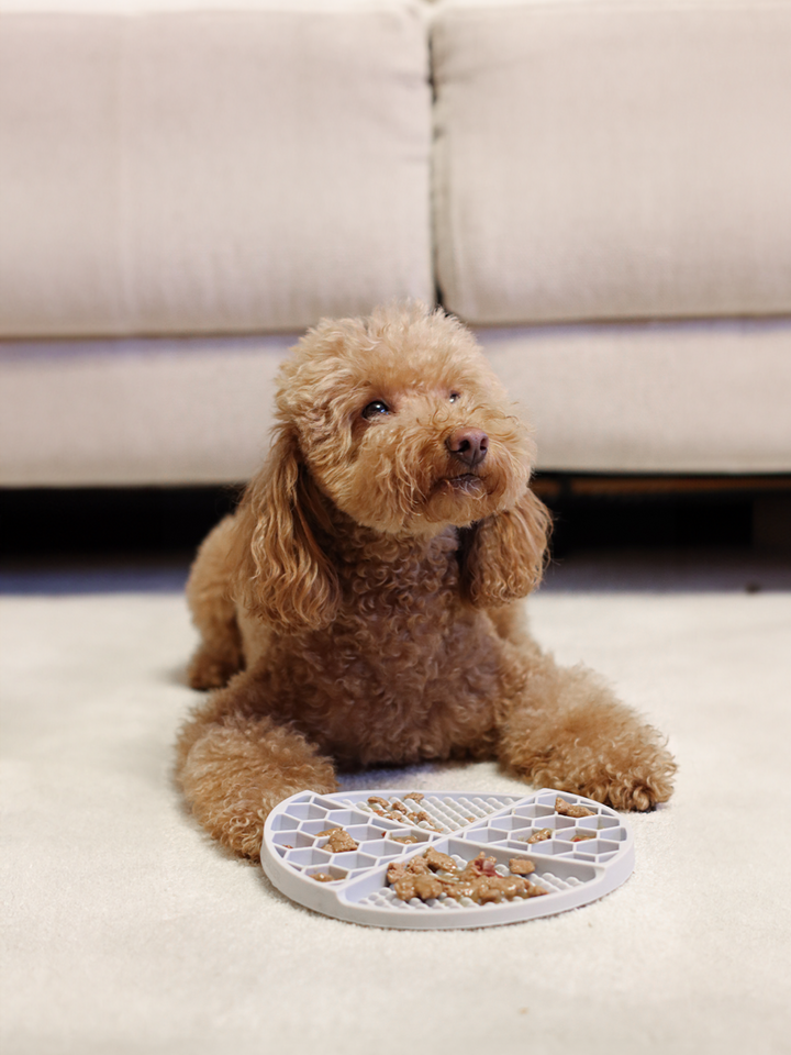 LICK MAT PARA PERRO BLUE