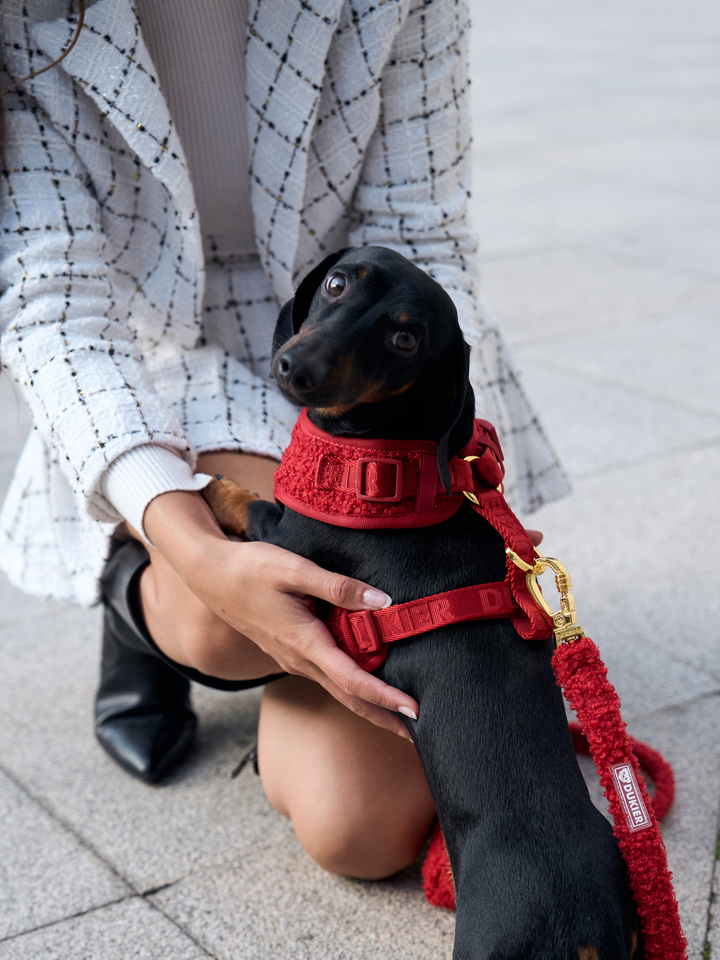 ARNÉS AJUSTABLE PARA PERRO TEDDY RED