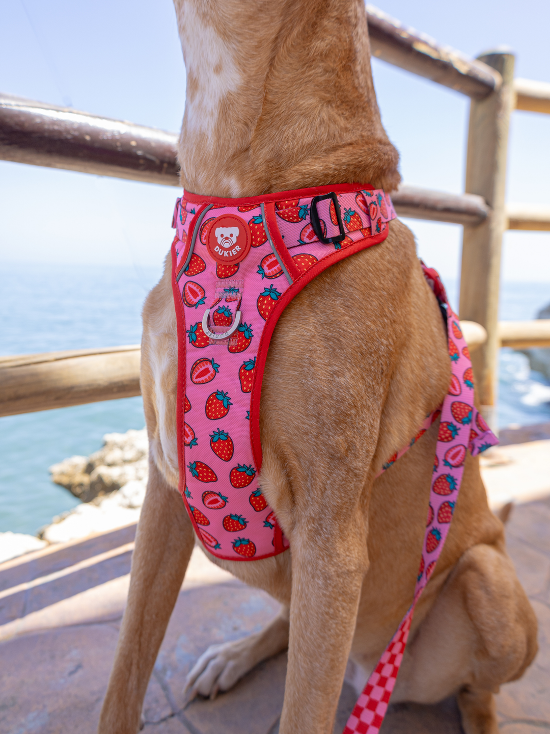 ARNES TRAIL PARA PERRO BERRY LOVE