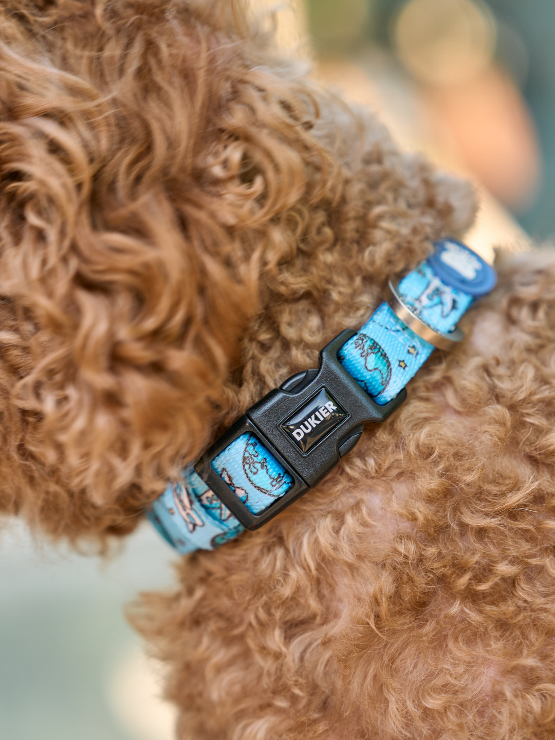 COLLAR PARA PERRO DUKITRIP