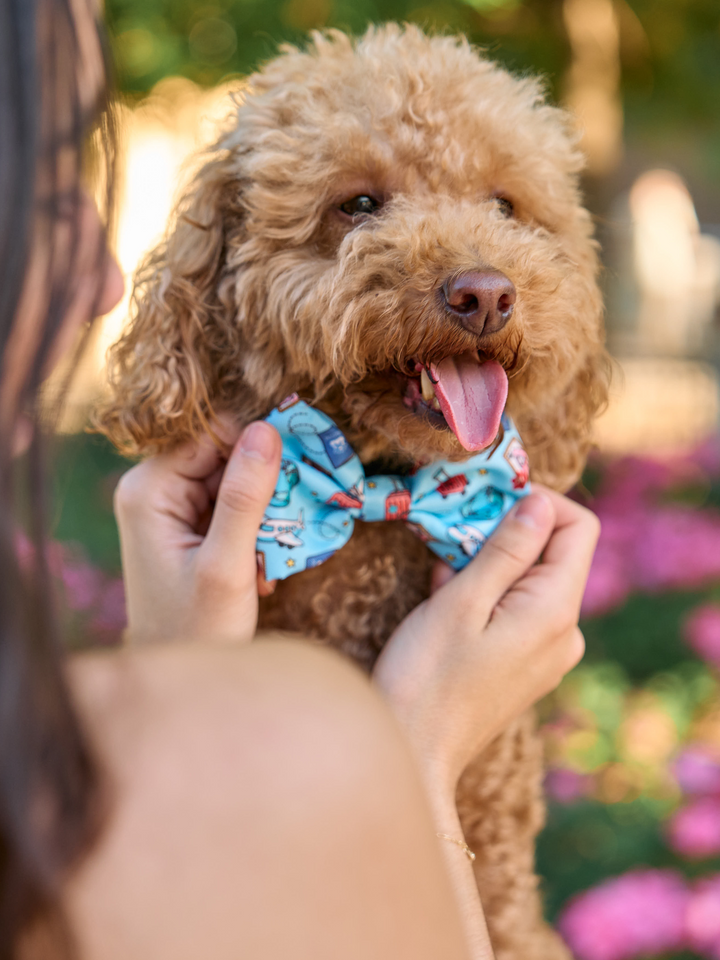 PAJARITA PARA PERRO DUKITRIP
