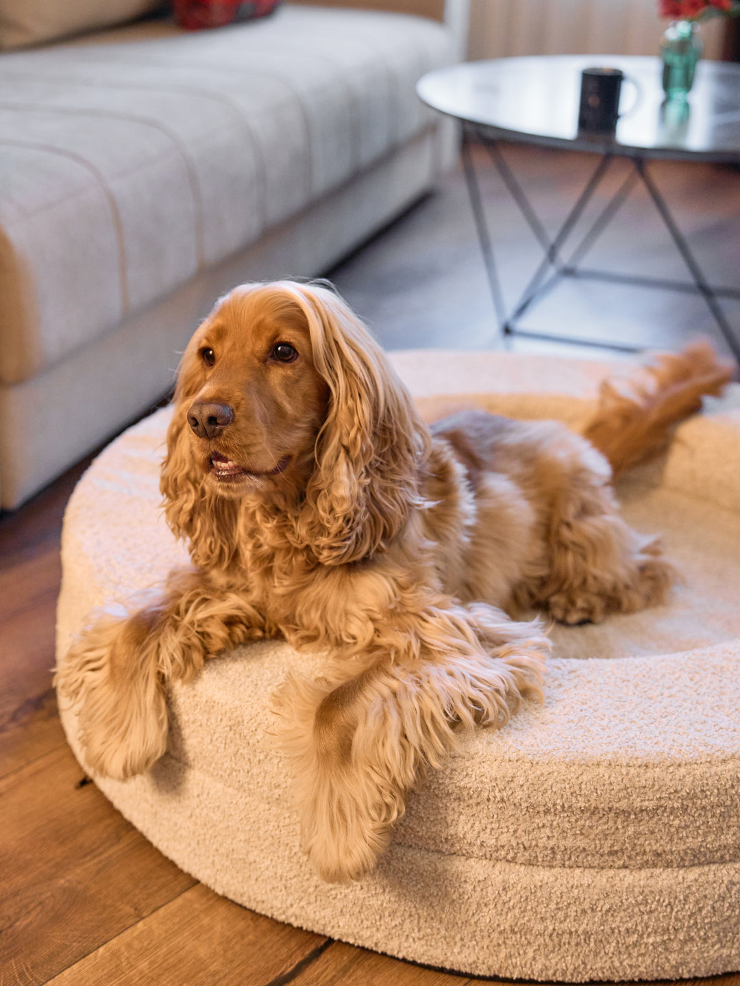 DUKIER-HUNDEBETT